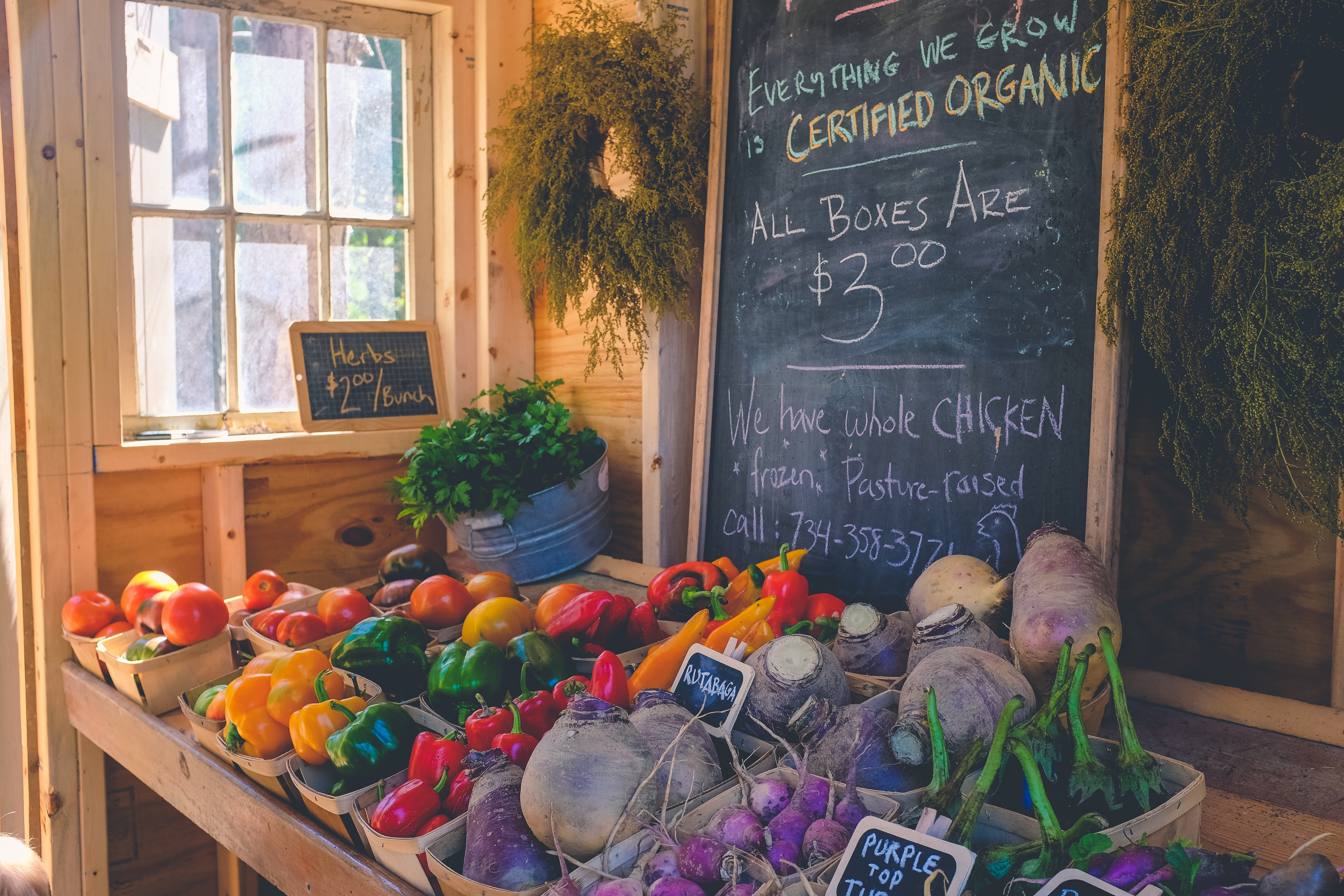 What fruits and vegetables should you buy organic?